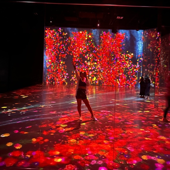 Meet your Posher, Mayelis - Picture 13 of 14